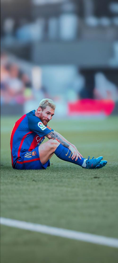 用30年的努力，厨师李宗元师傅把最宝贵的年华，毫...（三十年砥砺精进，厨师李宗元将最美年华献给灶台）